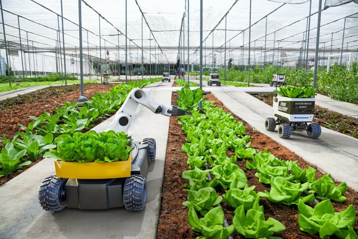 As novas tecnologias na produção agrícola sustentável